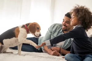 Read more about the article “Securing Your Pup’s Future: A Comprehensive Guide to Dog Insurance for Peace of Mind and Wagging Tails”